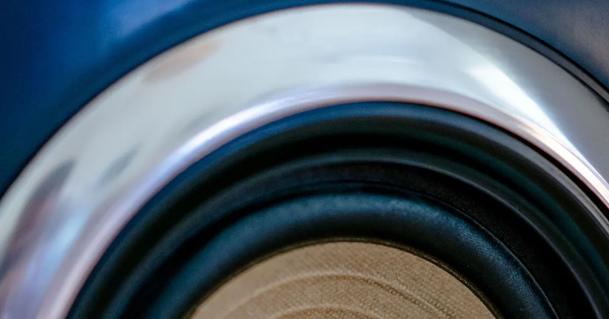 Close-up of a loudspeaker driver cone and surround, an example of consumer electronics assembly